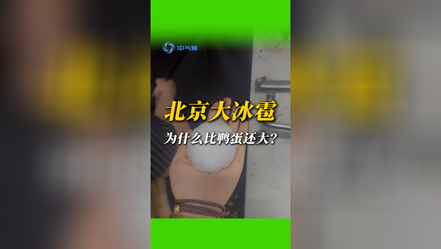 2025今晚澳门开奖结果出来,周云杰回应海尔老总冷如冰箱,完美答案解释落实_移动版V14.27