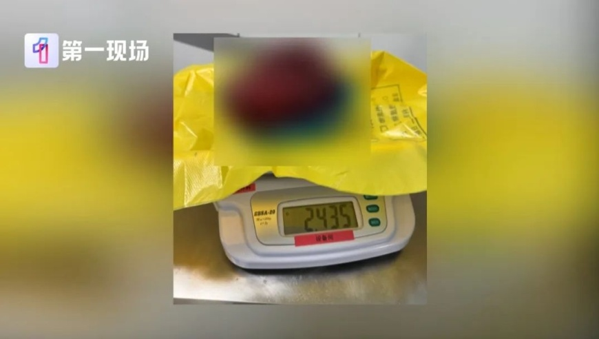 辽宁被悬赏5万刑案嫌犯落网,新澳门开奖结果2025开奖记录询官1网,社会责任方案执行_储蓄版V9.84